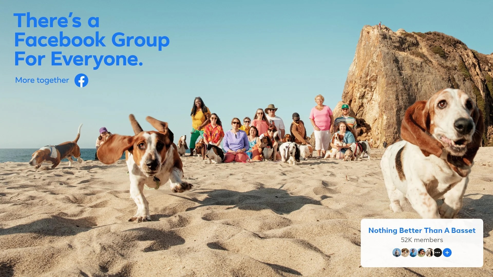 Nothing Better Than A Basset - Beach Meetup