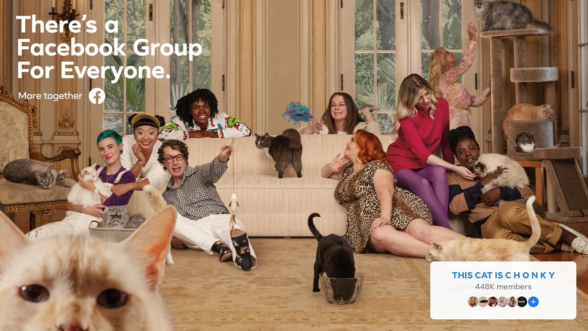 This Cat is Chonky - Indoor Gathering