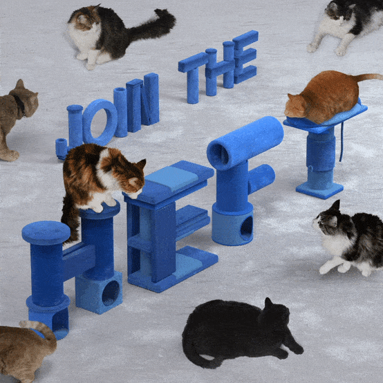 Cat Lovers Facebook Group