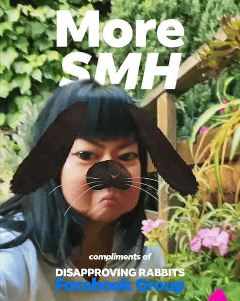AR Rabbit Campaign